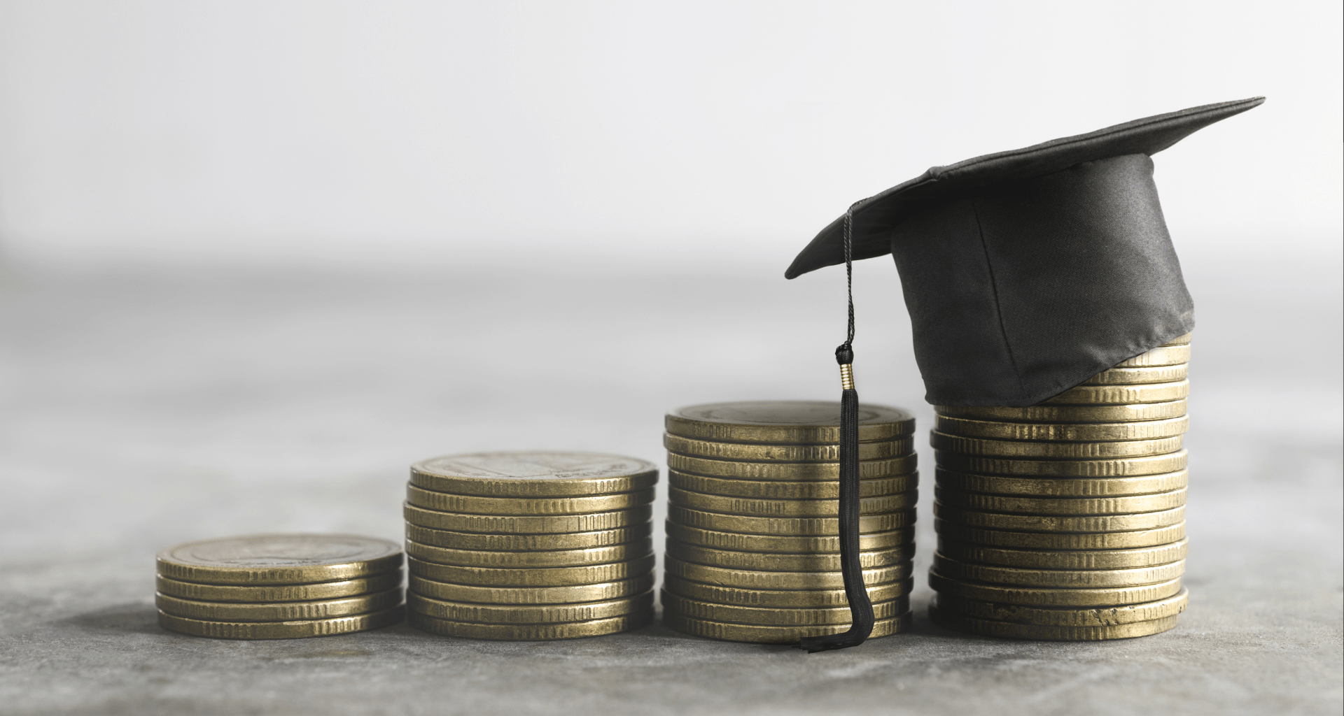 German scholarship organization logo for study financing